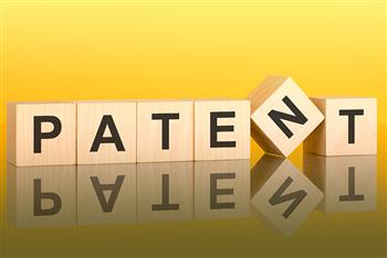 Katere vrste patentov poznamo?